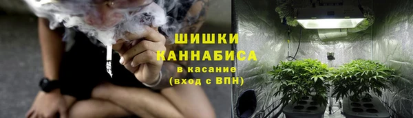 хмурый Абаза