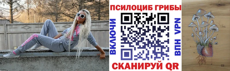 Псилоцибиновые грибы Magic Shrooms  сколько стоит  ссылка на мегу рабочий сайт  Яхрома 